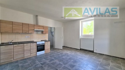 Pronájem bytu 1+kk 48 m2 v Bukovanech u Týnce nad Sázavou - Fotka 4
