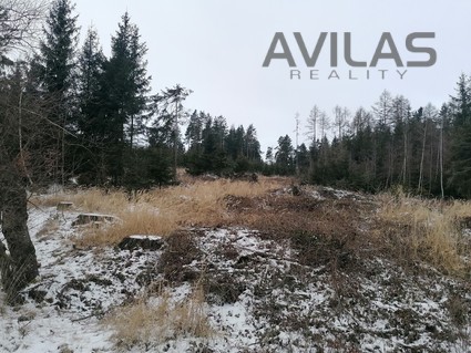 Prodej lesa 9.012 m2 u Votic