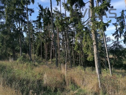 Prodej lesních pozemků 2.824 m2 Louňovice pod Blaníkem