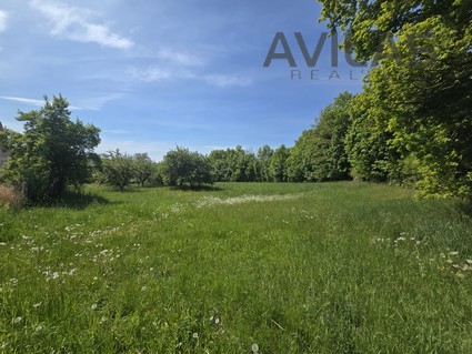 Podej stavebního pozemku 820 m2 v Maršovicích - Fotka 5