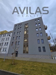 Pronájem bezbariérového bytu 1+kk o rozloze 32,6 m2 v Benešově - Fotka 4