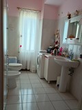 Fotka 5