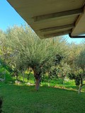 Fotka 25