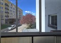 Fotka 29
