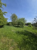 Fotka 13