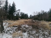 Prodej lesa 9.012 m2 u Votic