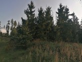 Prodej lesního pozemku 5.835 m2  u Čechtic