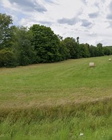 Pronájem travnatého pozemku 7 945 m² v Nespekách