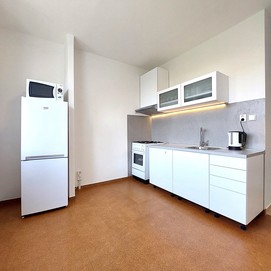 Pronájem bytu 1+1 31 m2 v Praze Letňanech