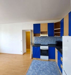 Pronájem bytu 1+kk 30 m 2 v Benešově