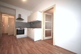 Pronájem bytu 2+kk 49 m2 Praha - Žižkov